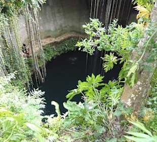 Die Cenote