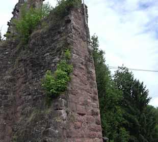 Burgruine Sterneck