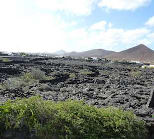 Fundacion Cesar Manrique