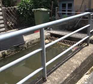 Stadtgeschichte aktiv erleben