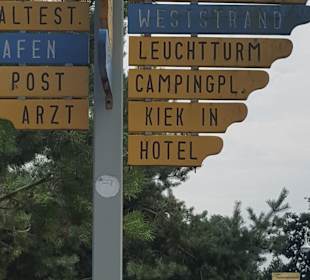 Radfahren Darß Prerow	