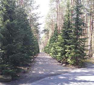 KZ Sobibor