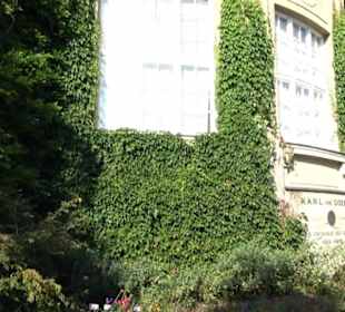 Botanischer Garten München