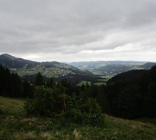 Panorama