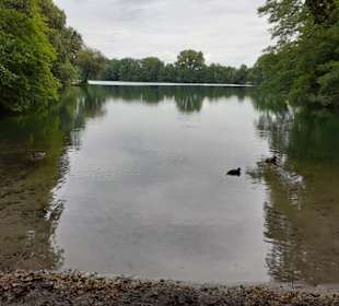 Rensinger See in Kellinghusen