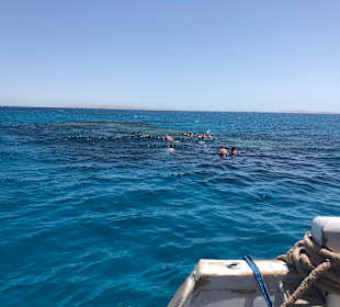 Schnorcheln Hurghada