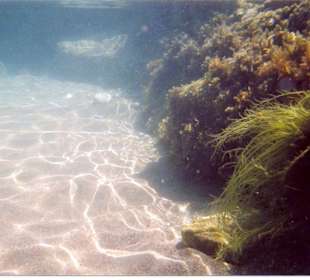 Unter Wasser am Strand