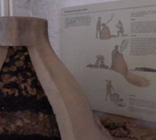 Archäologisches Museum
