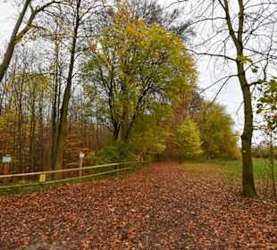 Felsenmeer in Hemer