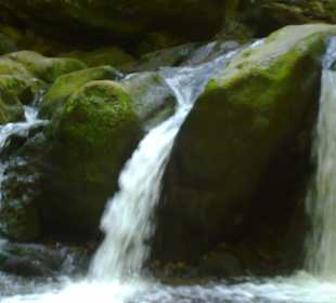  Schiessentümpel in Müllerthal, Luxemburg 