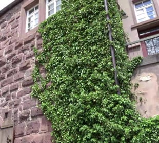 Altes Rathaus Altensteig