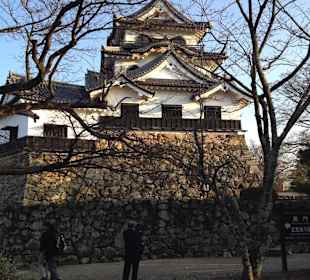 Hikone castle and surrounding garden