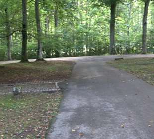 Neuer Friedhof Weilimdorf