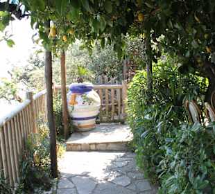 Ristorante Locanda Costa Diva Praiano Amalfi