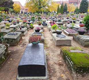 Hier sieht man die Ausrichtung sehr gut