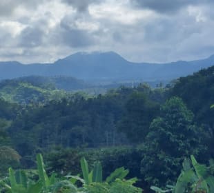 Ausblick von der Terrasse