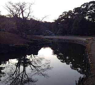 Hikone castle and surrounding garden