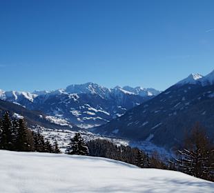 Ausblick