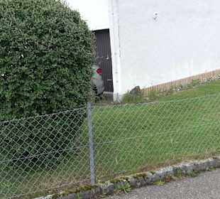 Neuapostolische Kirche Dietersweiler