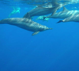 Alle Bilder an einem Tag!