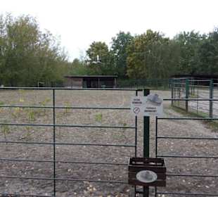Tierpark 