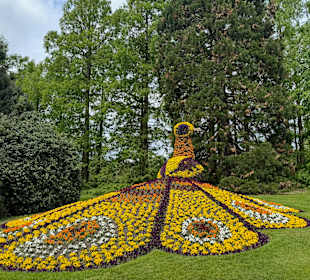 Blumeninsel Mainau