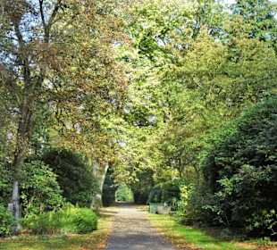Rundgang über den Ohlsdorfer Friedhof