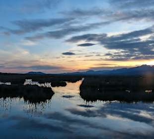 Sonnenuntergang am Albufera Park