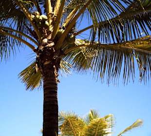 Relaxen auf der Liege!