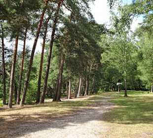 Am Ufer des Großen Bullensees