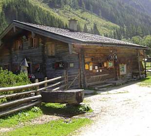 Palfneralm