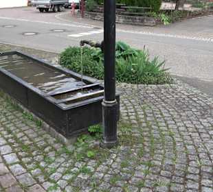 Historischer Dorfbrunnen Oberwaldachtal