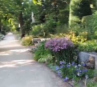 Real Jardín Botánico de Madrid