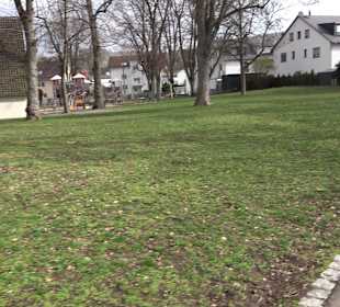Bürgerpark Grüne Mitte