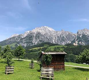 Wandern Leogang