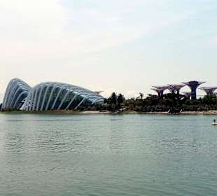 Gardens by the Bay / Singapur