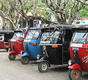 Alle warten auf Touristen 