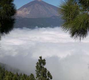 Teide