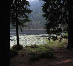 Arbersee