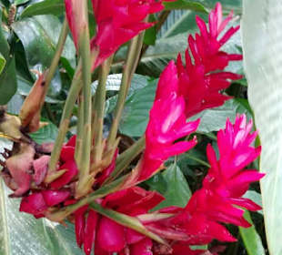 St. Lucia Best Experience Tours