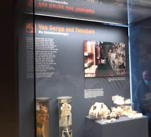 Museum der Naturkunde