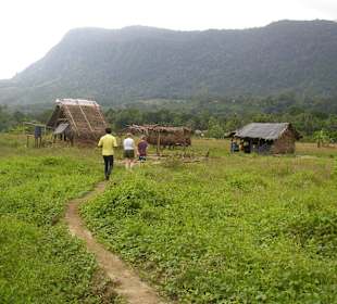 Die Minen sind oft auf alten Reisfeldern gelegen