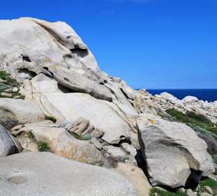 In den Granitfelsen des Capo Testa