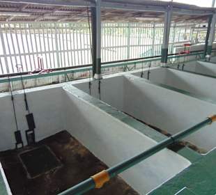 Doka Estate Kaffeeplantage