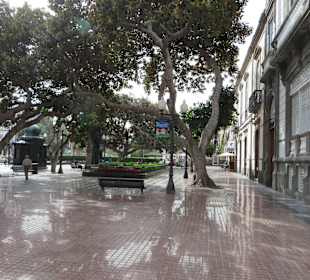 Es blinkt wie frisch gebohnert