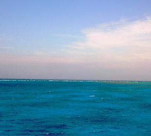 Dolphintour mit Oototo zum Zweiten