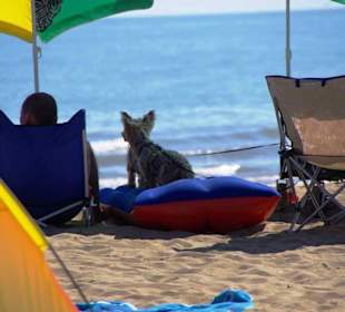 Denen geht es echt gut