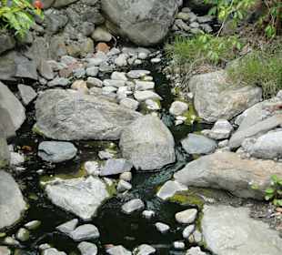 Poring Hot Springs - Schmetterlingsgarten