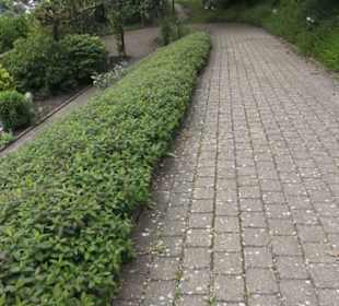 Benediktinerkloster Lorch