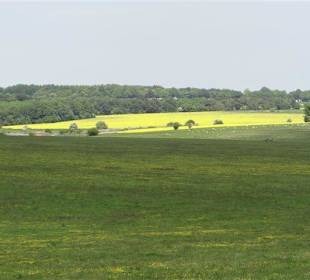 Blick auf die Umgebung